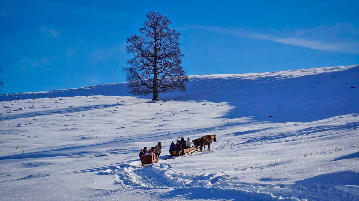 januari-erdekessegek-indito.jpg