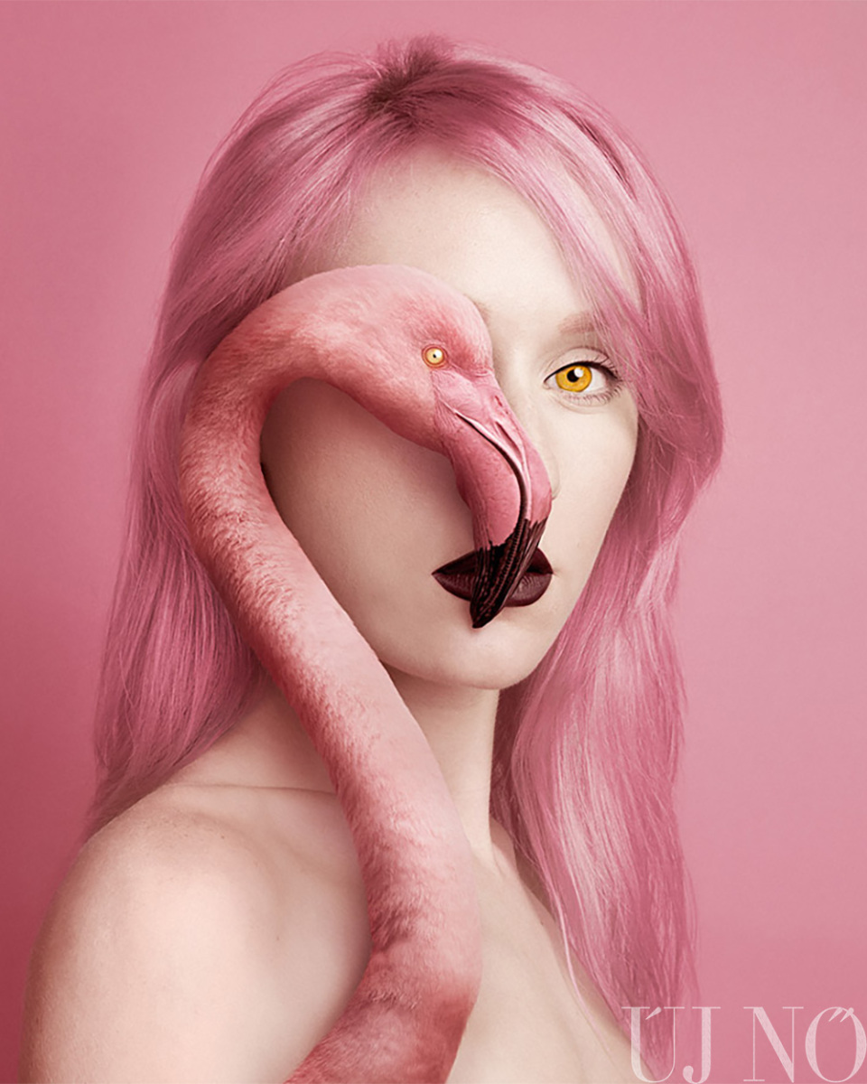 a-photoshop-kiralynoje-flamingo.jpg