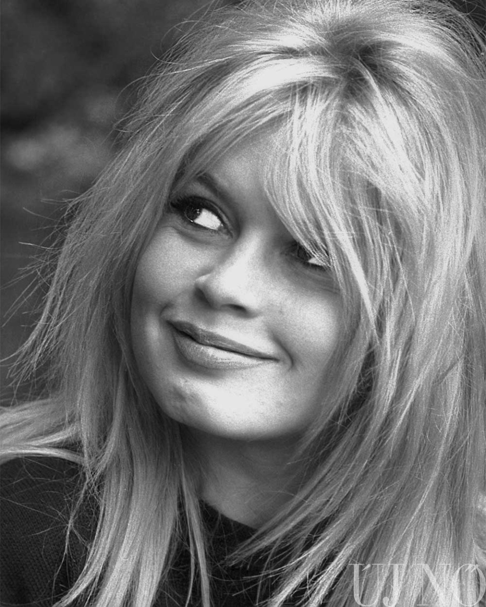 brigitte-bardot-az-ikon-belso.jpg