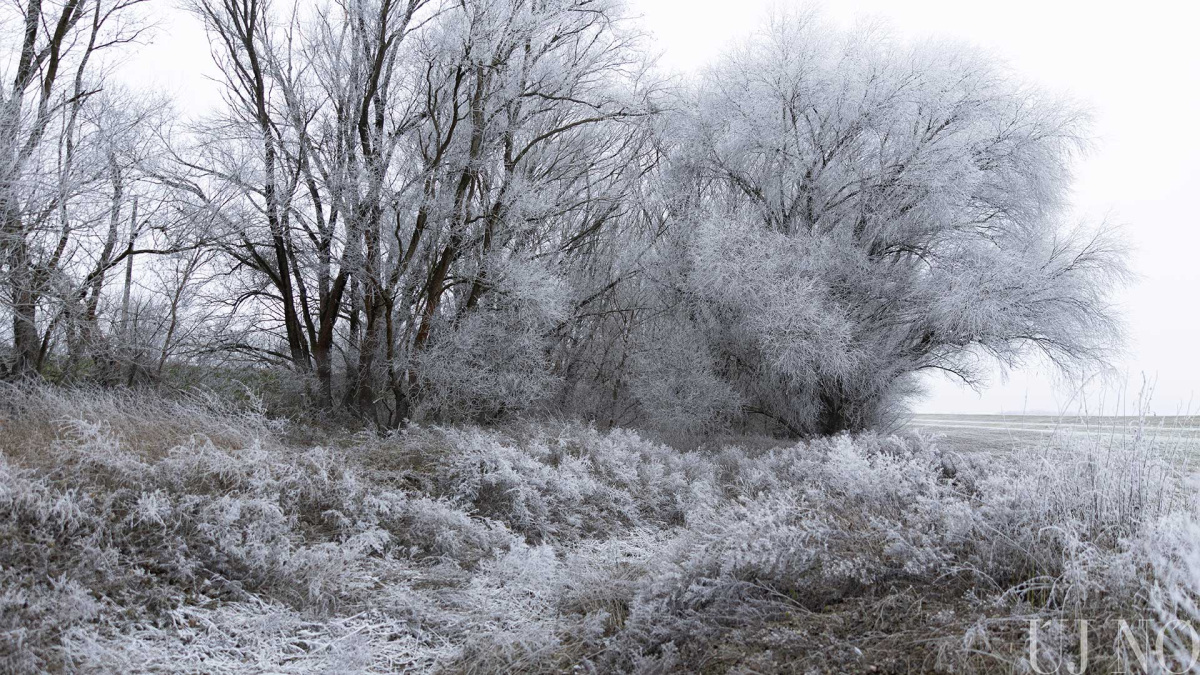 januari-lapajanlo-teli-alom.jpg