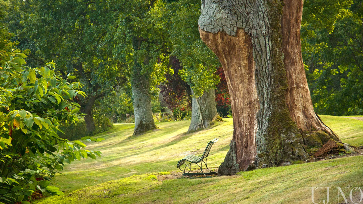 juniusi-lapajanlo-park.jpg