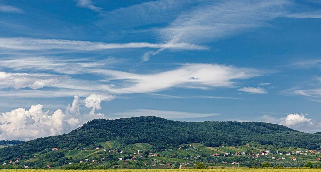 SZŐLŐHEGY őszi hangulatban