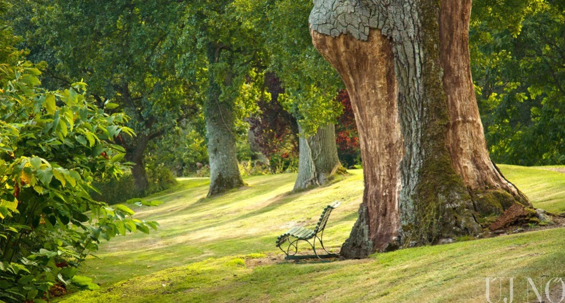 Meseszép park (volt) kicsi kastéllyal