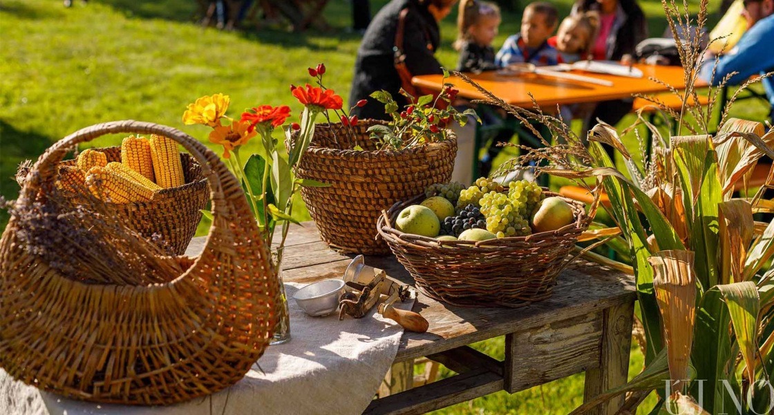 Őstermelői piac